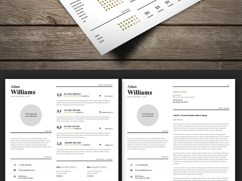 留学生英文简历A4WORD通用模板(图片编号:1