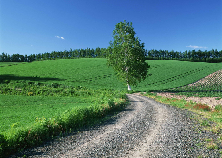 乡野道路田园风光野外风景郊外景观(图片编号