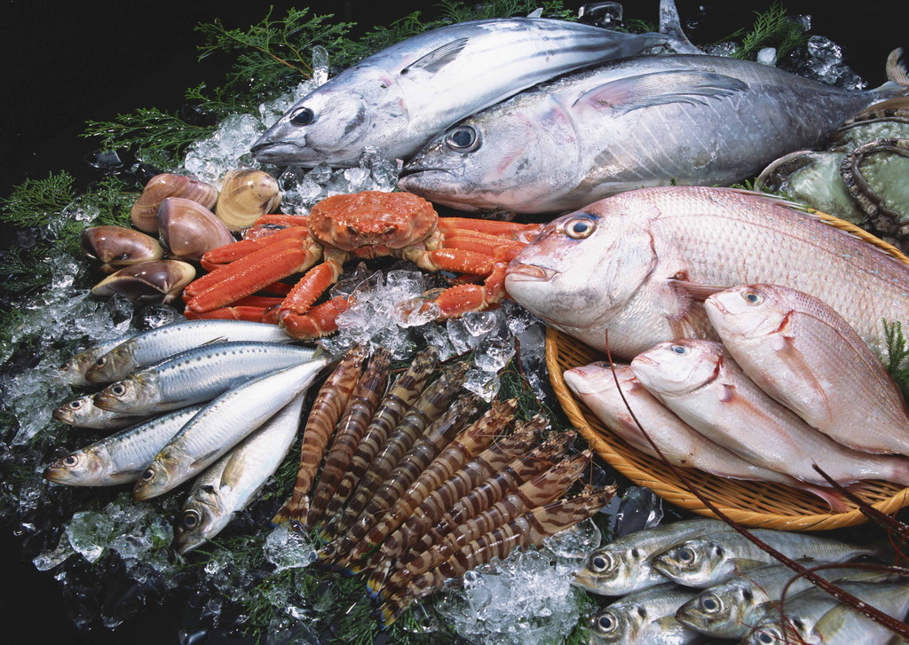 海鲜鱼虾蟹餐饮海产美食贝壳海鱼类