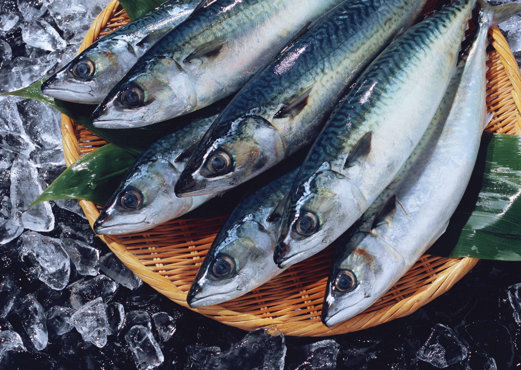 海鱼鲜鱼美食海产鱼类鱼获海鲜冰鲜