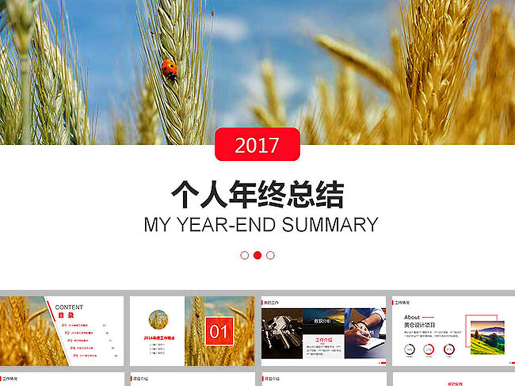 个人年终总结新年计划ppt模板