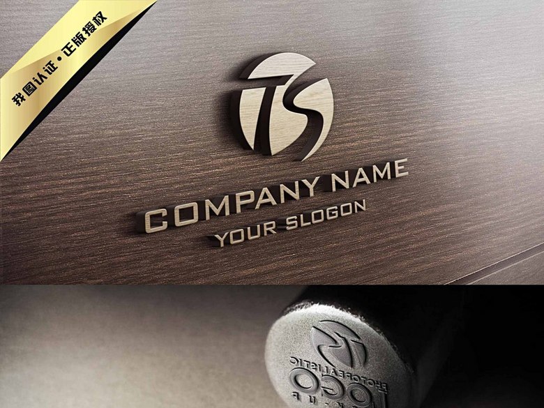 TS字母组合LOGO设计(图片编号:16020189)_商