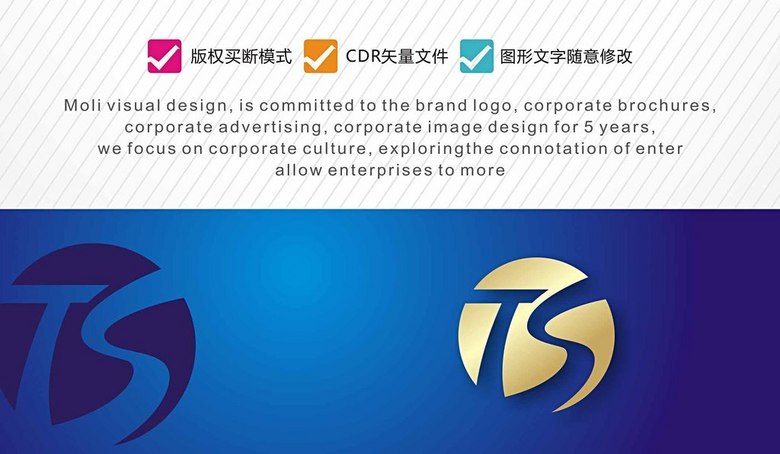 TS字母组合LOGO设计(图片编号:16020189)_商