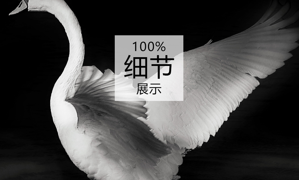 我图网提供精品流行北欧风格时尚意境天鹅装饰画无框画素材下载,作品模板源文件可以编辑替换,设计作品简介: 北欧风格时尚意境天鹅装饰画无框画 位图, RGB格式高清大图,使用软件为 Photoshop CS6(.tif不分层)