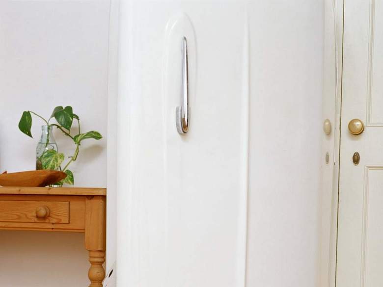 小狗西洋狗类猫狗动物世界家居宠物(图片编号