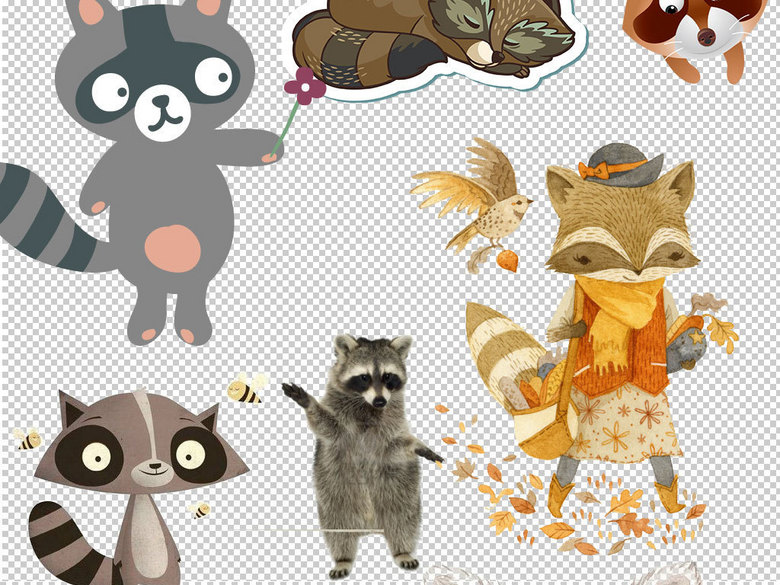 卡通浣熊动物图片海报素材(图片编号:1604722