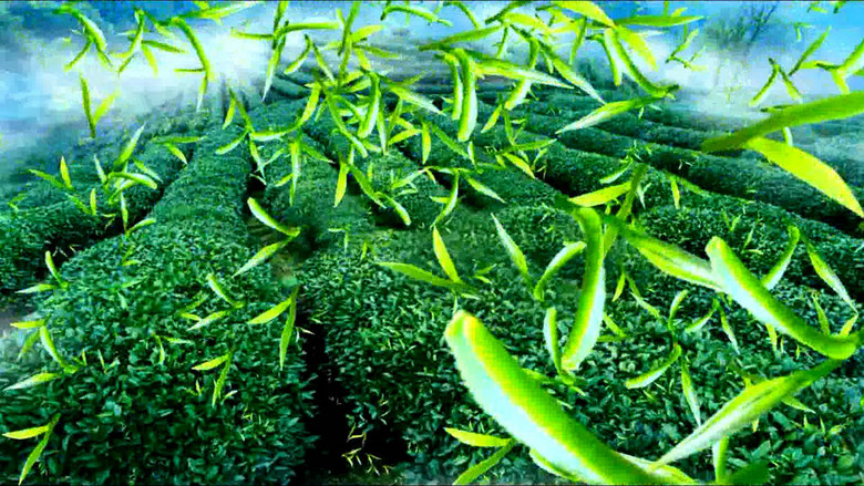 采茶舞茶艺表演舞台LED大屏动态背景(图片编