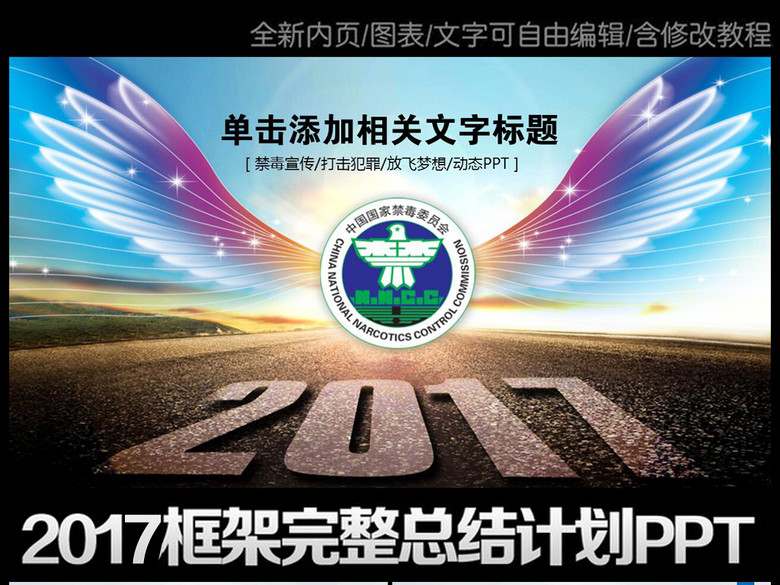 {2017禁毒工作总结}.
