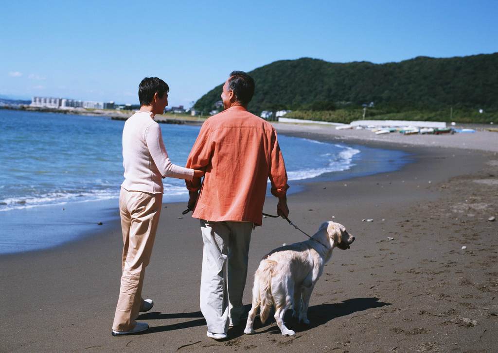 老人和狗海边休闲退休生活老年人物