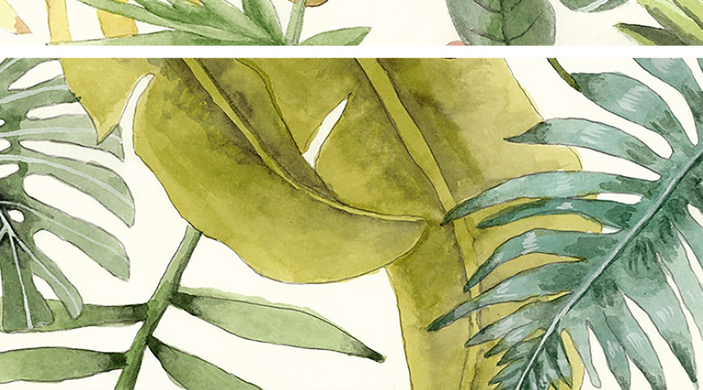 植物剪贴画 卡纸 植物剪贴画 卡纸