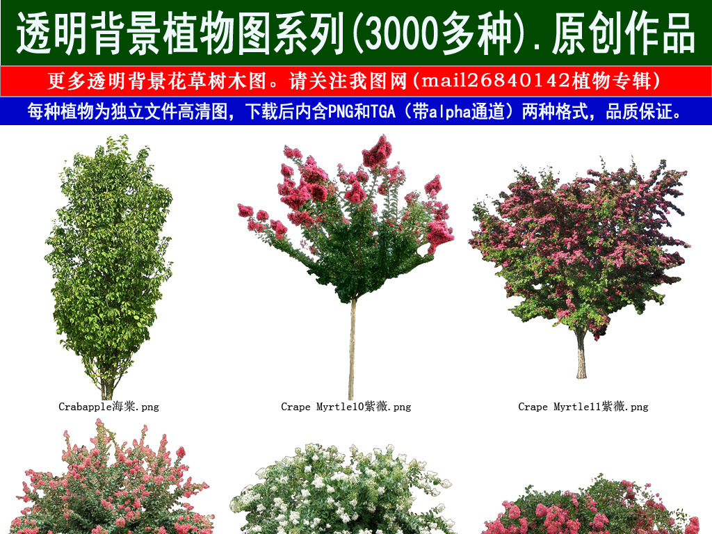 我图网提供精品流行紫薇花草树木透明背景设计元素系列图100素材下载,作品模板源文件可以编辑替换,设计作品简介: 紫薇花草树木透明背景设计元素系列图100 位图, RGB格式高清大图,使用软件为 Photoshop CS5(.png)