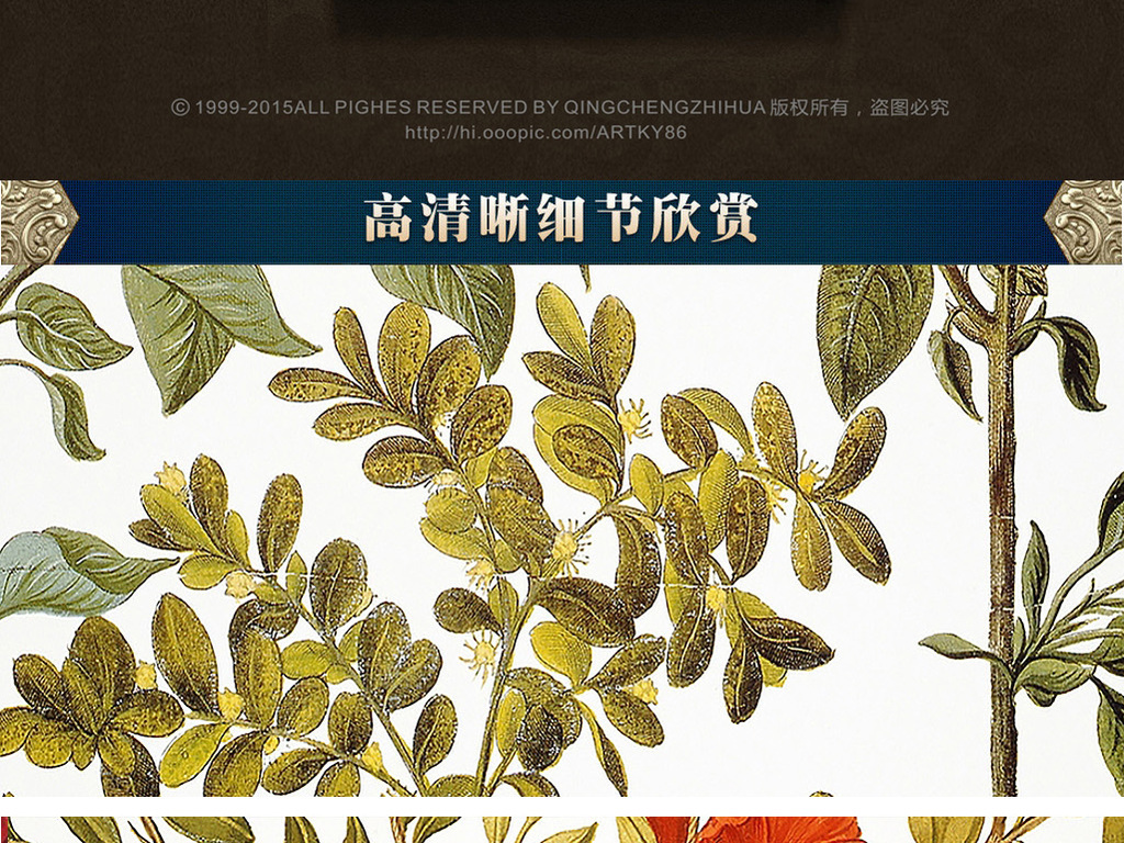植物剪贴画 卡纸 植物剪贴画 卡纸