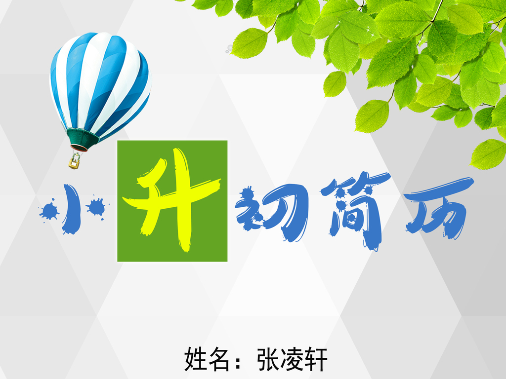 小学生小升初择校入学简历封面psd模板图片