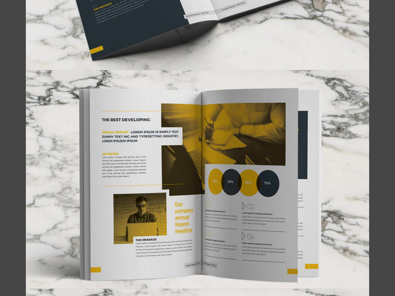 2017年公司简介企业报告项目计划书模板(图片