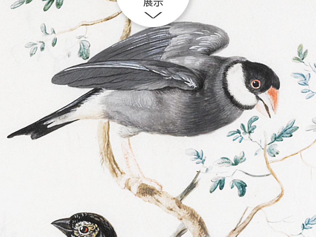 我图网提供精品流行72欧美花鸟装饰画下载抽象素材下载,作品模板源文件可以编辑替换,设计作品简介: 72欧美花鸟装饰画下载抽象 位图, RGB格式高清大图,使用软件为 Photoshop CS(.tif不分层)