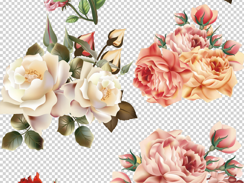 手绘高清情人节玫瑰PNG免抠透明背景素材(图