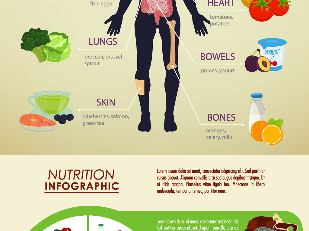 食物营养人体健康矢量信息图