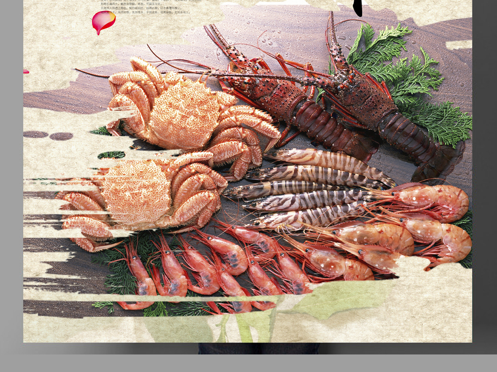 哪里买姜母鸭 16148875-563f3e68c79a4649ab5717b69e81cd91-1.jpg