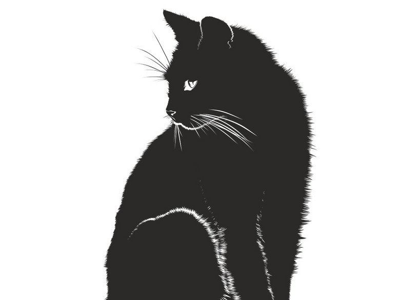 小猫黑猫小黑猫图案卡通图片PNG(图片编号:1