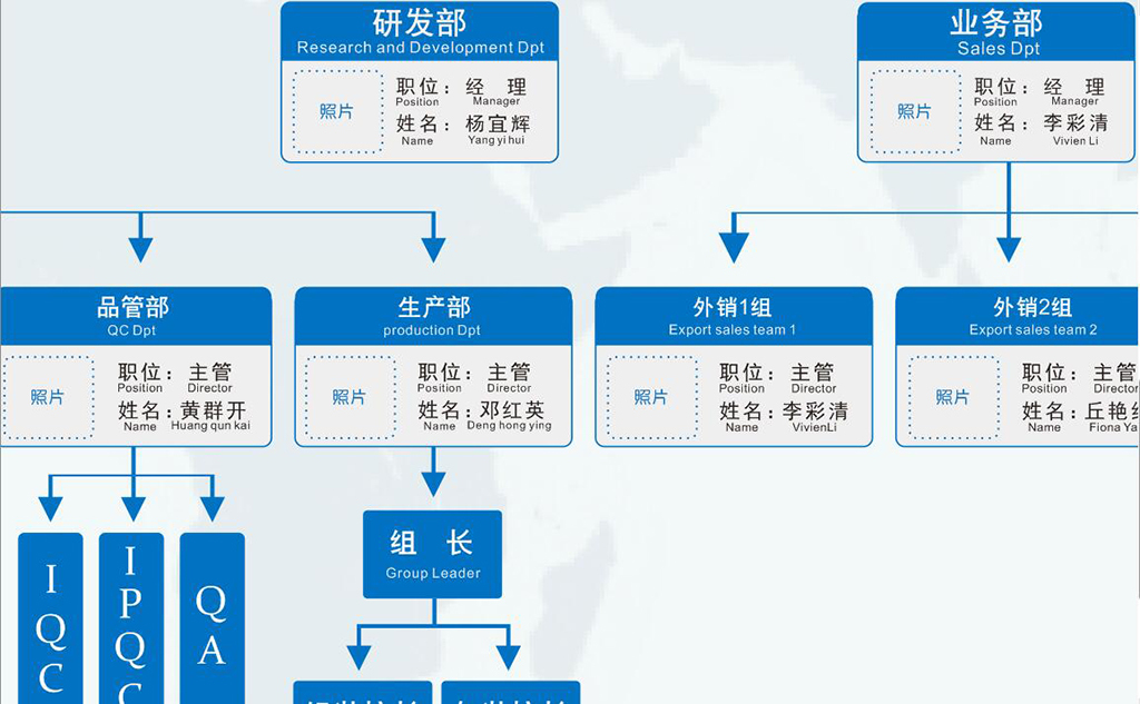 中英文公司企业组织架构图模板可更改