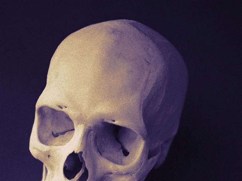 医学解剖物理治疗人体器官康复理疗(图片编号