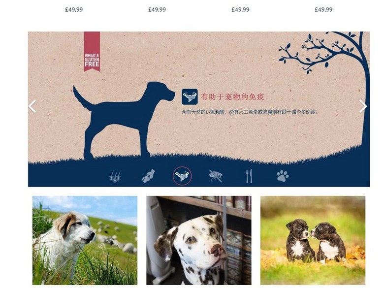 猫狗宠物食品网页设计DIV+CSS源码宠物食品