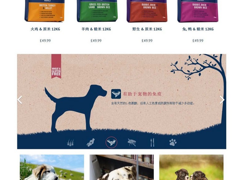 猫狗宠物食品网页设计DIV+CSS源码宠物食品