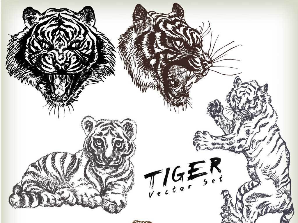 我图网提供精品流行素描动物老虎大象豺狼河马狮子马牛狗羊驴素材下载,作品模板源文件可以编辑替换,设计作品简介: 素描动物老虎大象豺狼河马狮子马牛狗羊驴 矢量图, RGB格式高清大图,使用软件为 Illustrator CS6(.eps) 老虎扑食 狮子吼叫 河马张嘴 大象仰头