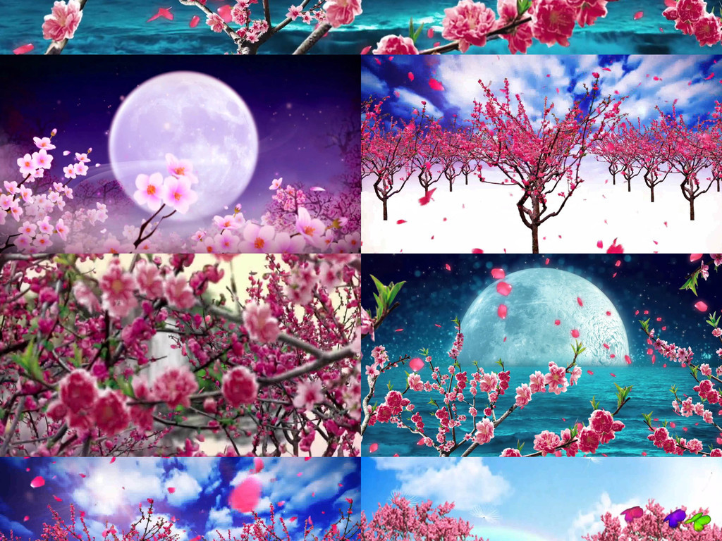 歌曲桃花朵朵开简谱_桃花朵朵开古筝简谱