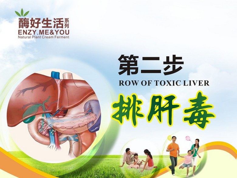 健康好生活排肝毒肠道清理绿色背(图片编号:1