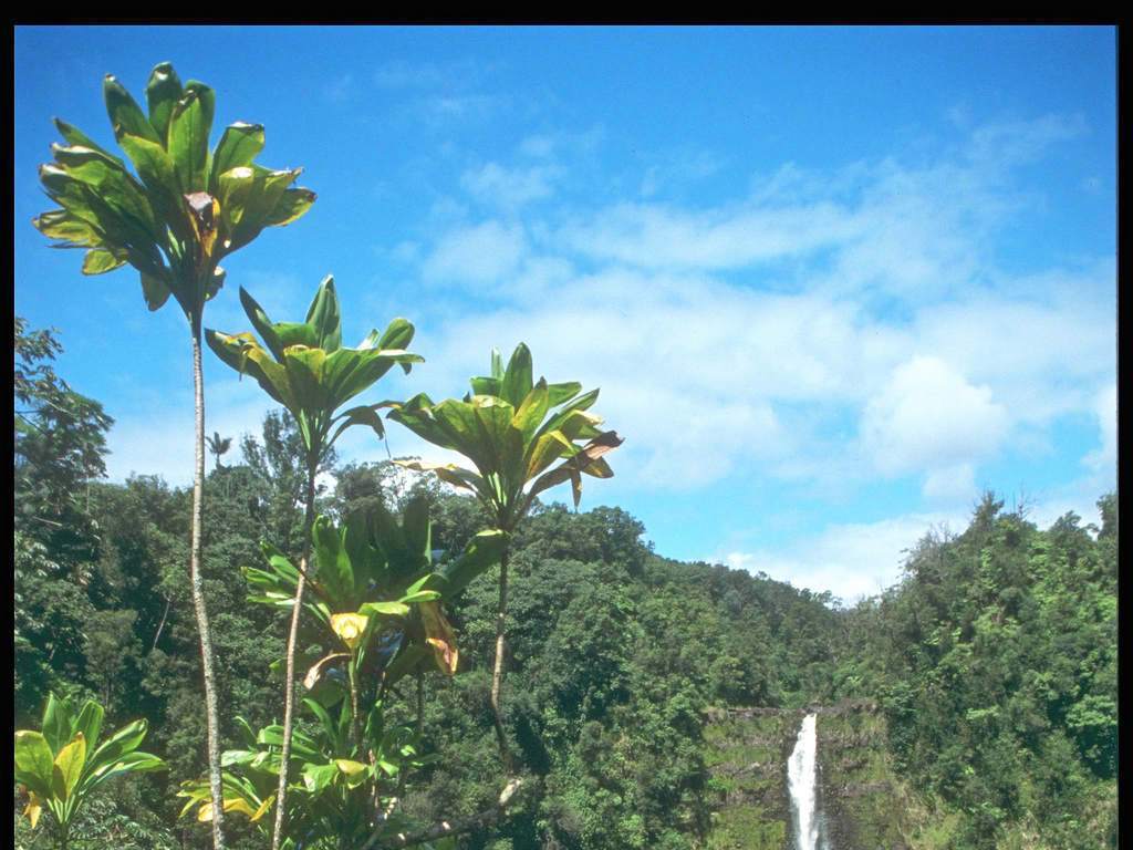 野外自然景色风景画美丽风光素材山水图