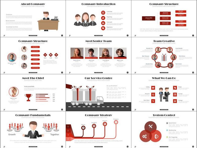 团队介绍服务推广成功案例汇报PPT模版(图片