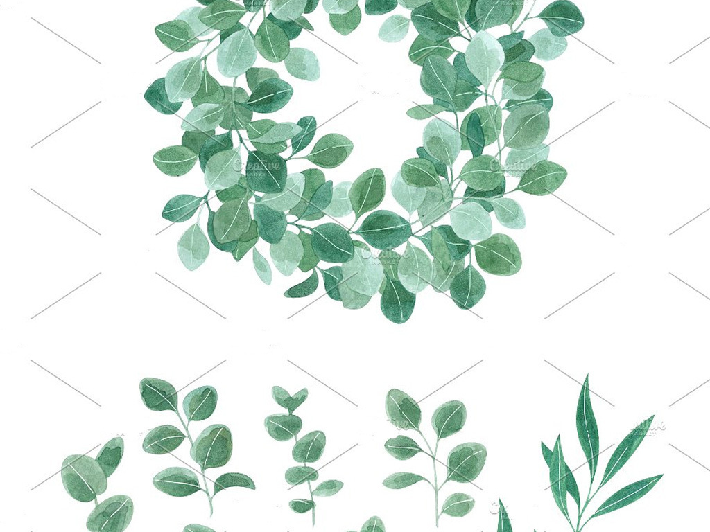 森系手绘水彩植物叶子树枝藤条卡片设计素材图片