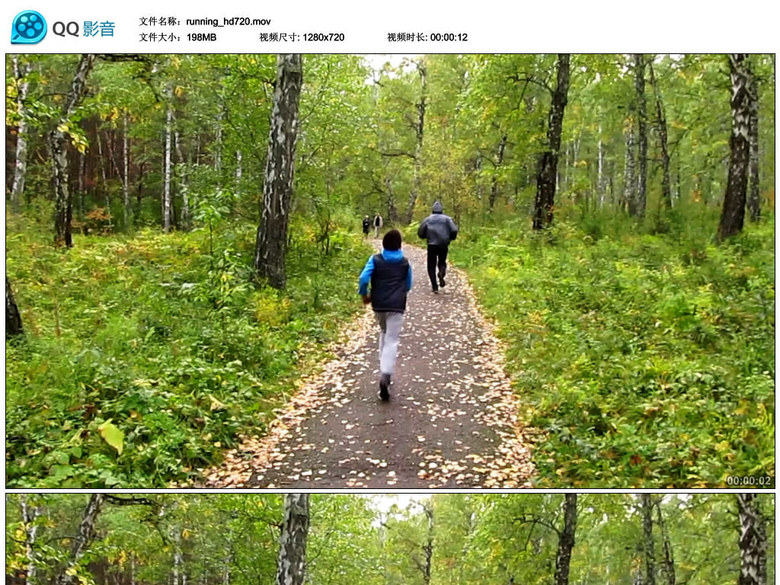 公园林间小道跑步锻炼体育健身实拍高清视频(