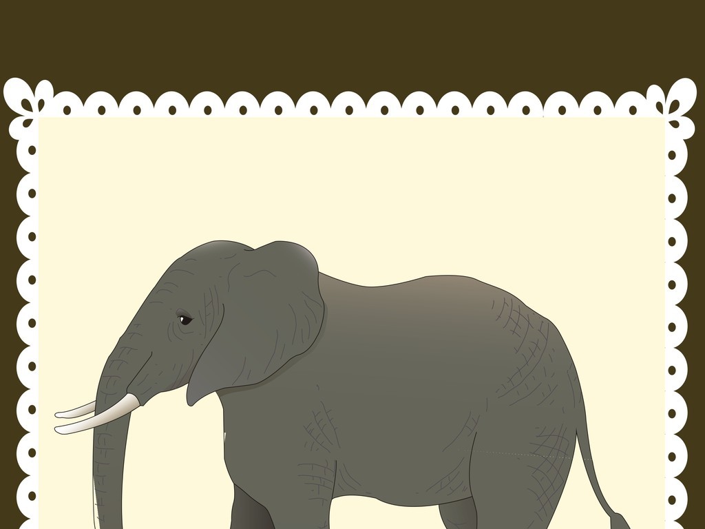 MG小象设计师系列假选什么牌子好 同款好推荐