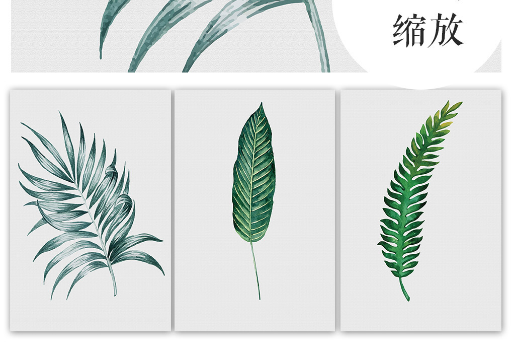 树叶蕨类植物叶子芭蕉叶水墨装饰画简约现代清新装饰画背景墙文艺范小图片