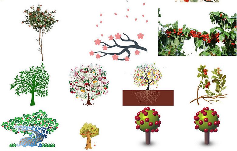 樱桃树ps装饰元素免抠图(图片编号:16242660