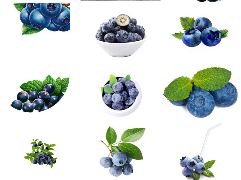 120款新鲜蓝莓ps装饰素材免抠图(图片编号:16