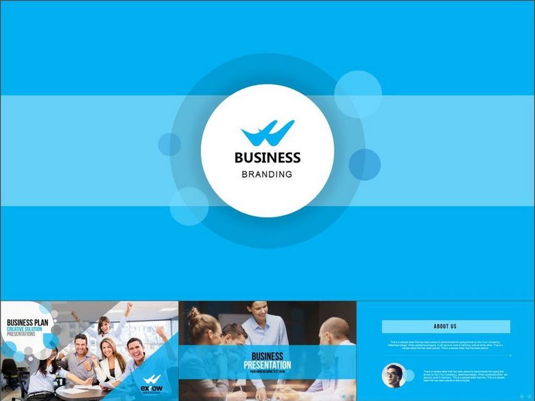 公司介绍市场策略案例分析销售PPT模板(图片