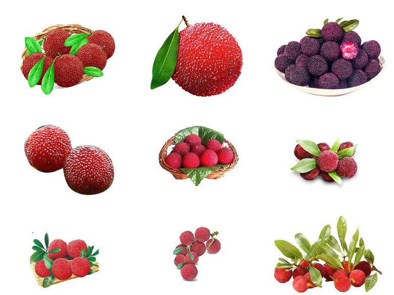 新鲜杨梅ps设计素材库(图片编号:16251388)_效