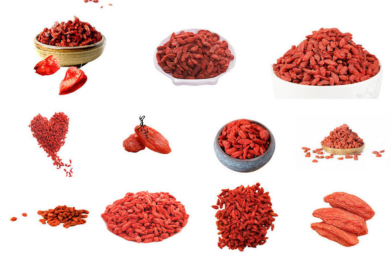 药材红枸杞海报设计背景图素材2(图片编号:16