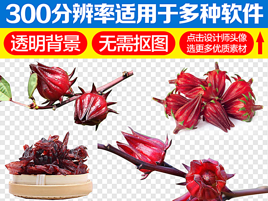 洛神花花茶洛神花干盛开的洛神花图片