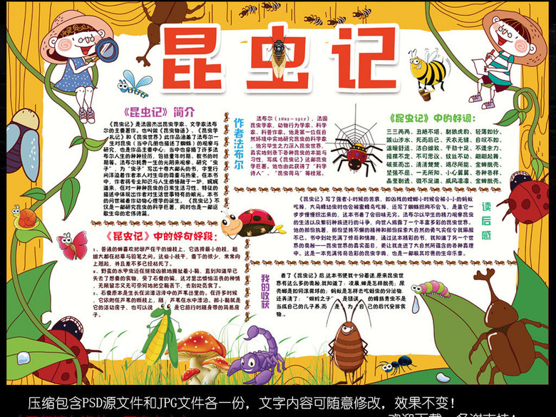 昆虫记小报读书阅读后感手抄电子小报设计(图