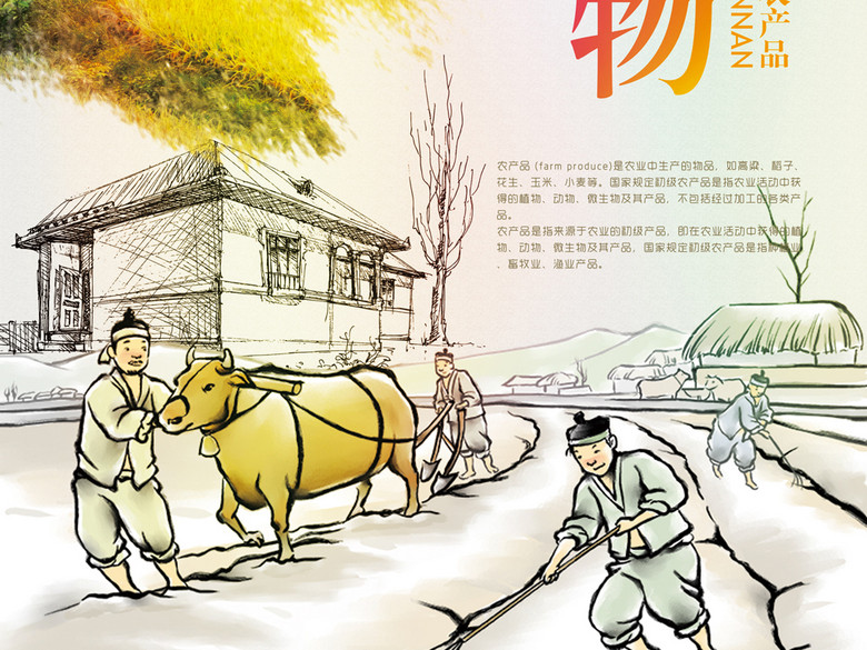 有机农产品蔬菜水果食物海报(图片编号:16302