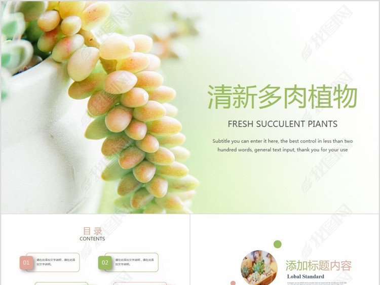 唯美清新多肉植物种植培训教育动态PPT