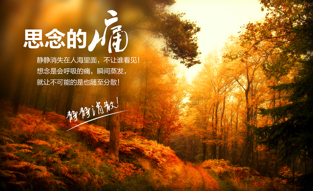 思念的痛唯美秋天背景