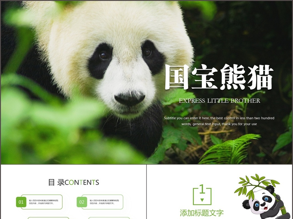 我图网提供精品流行国宝熊猫吃竹子保护动物动态ppt模板素材下载,作品模板源文件可以编辑替换,设计作品简介: 国宝熊猫吃竹子保护动物动态ppt模板,,使用软件为 PowerPoint 2013(.pptx) 熊猫ppt