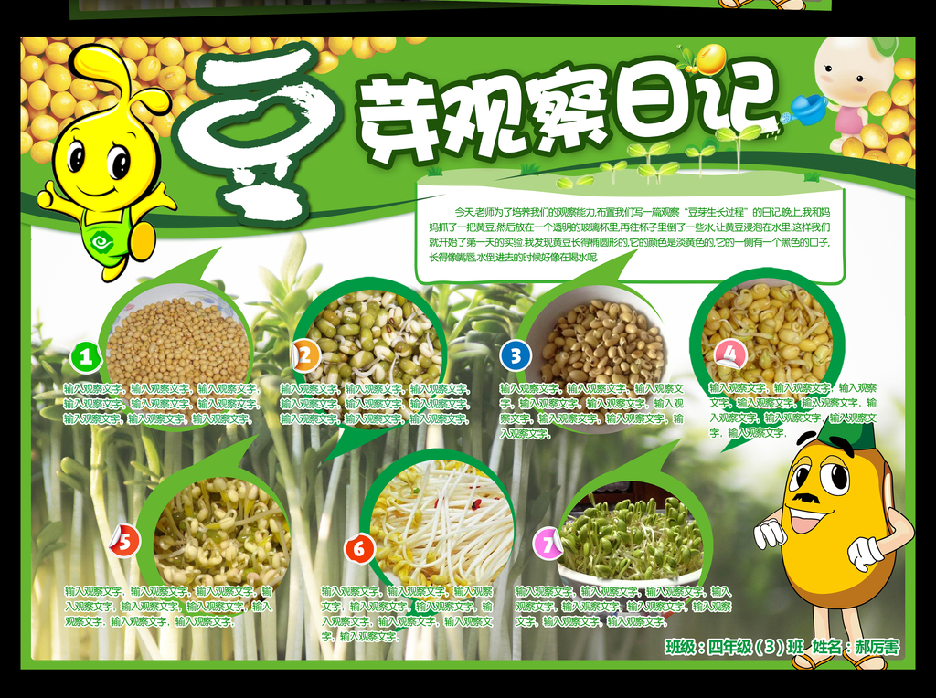 蒜苗手抄报
