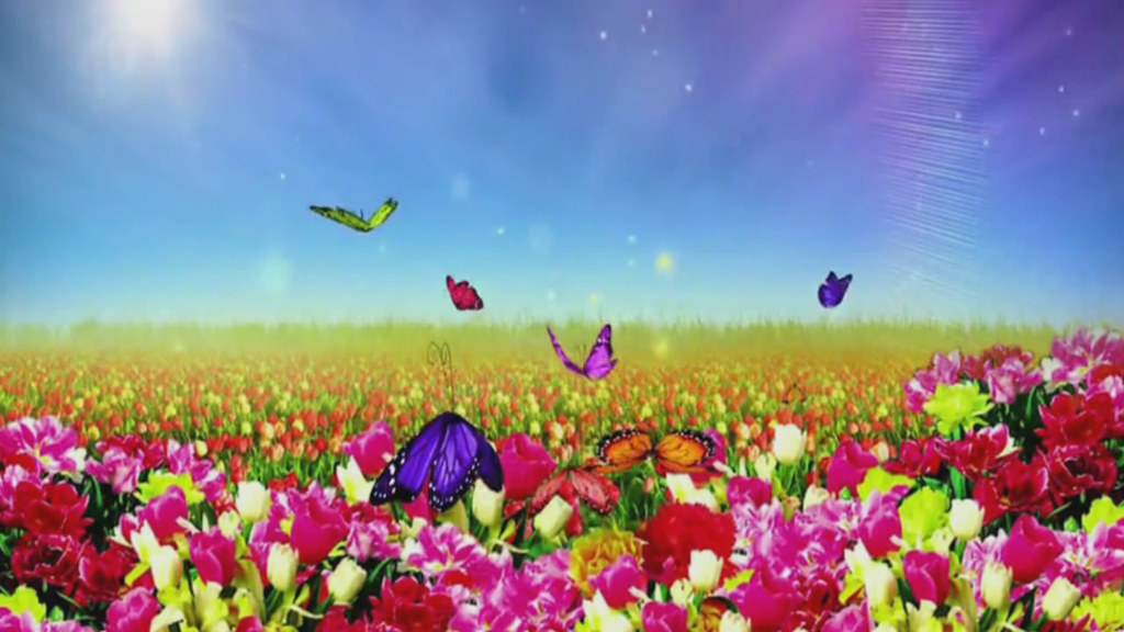 进行曲舞蹈完整视频 16359894-b2f1333b4aa058b021a8000279e0ba53.jpg