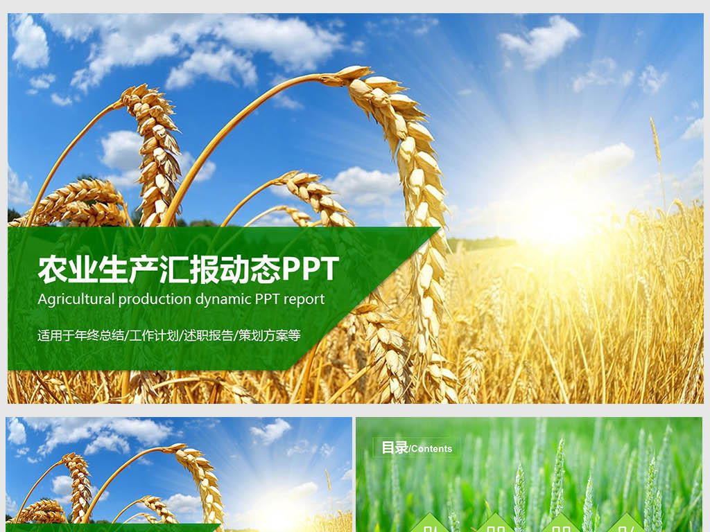 绿色农业产品农场水稻粮食种植PPT模板